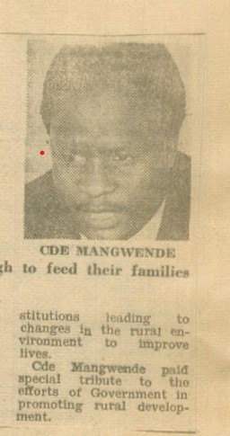 Financial Viability of Media